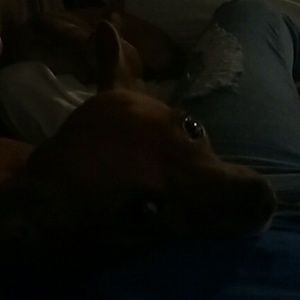 Meet your Posher, Briana