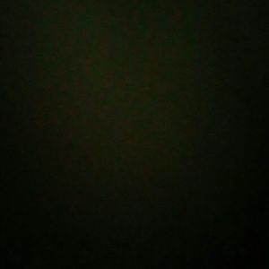 Meet your Posher, Elisa