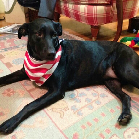 Meet your Posher, Jennifer - Picture 1 of 1