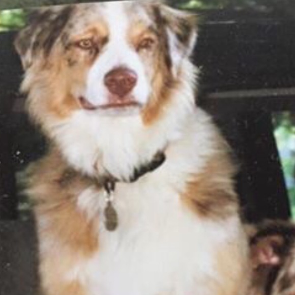 Meet your Posher, Diane - Picture 1 of 1