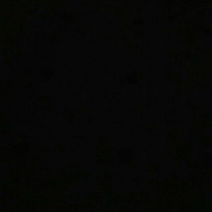 Meet your Posher, Cheyenne