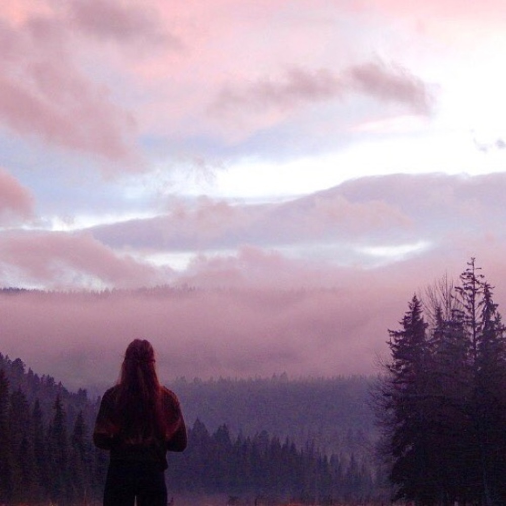 Meet your Posher, Annie