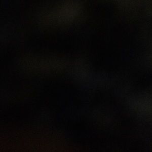 Meet your Posher, Hailey