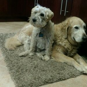 Meet your Posher, Barb