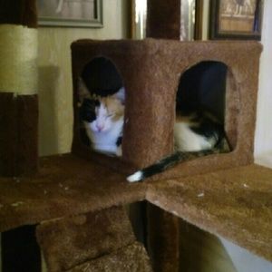 Meet your Posher, Brittney