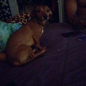 Meet your Posher, Tasha