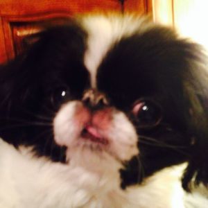 Meet your Posher, Helen