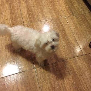 Meet your Posher, Amy