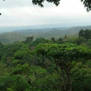 Meet your Posher, Astrid