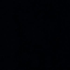 Meet your Posher, Lizbeth