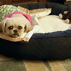 Meet your Posher, Fonda