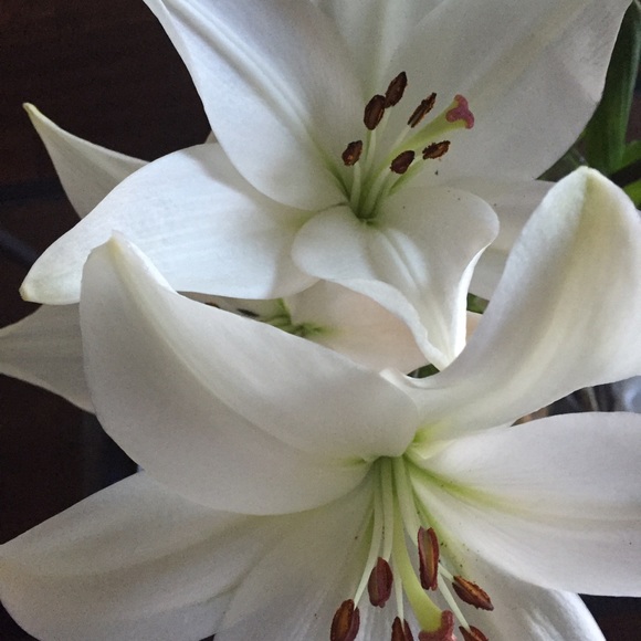 Meet your Posher, Yungheui - Picture 1 of 1