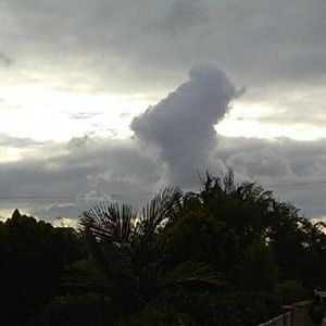 Meet your Posher, Trinity