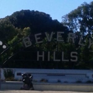 Meet your Posher, Daisy