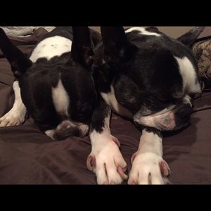 Meet your Posher, Julia