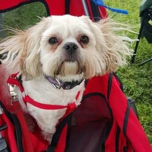 Meet your Posher, Judith