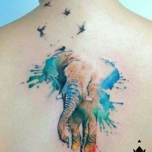 Meet your Posher, Dee