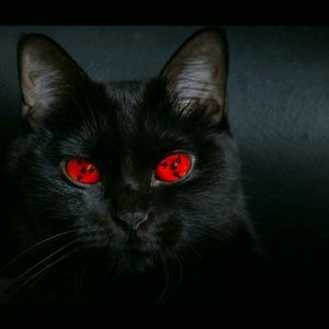 Meet your Posher, Christie