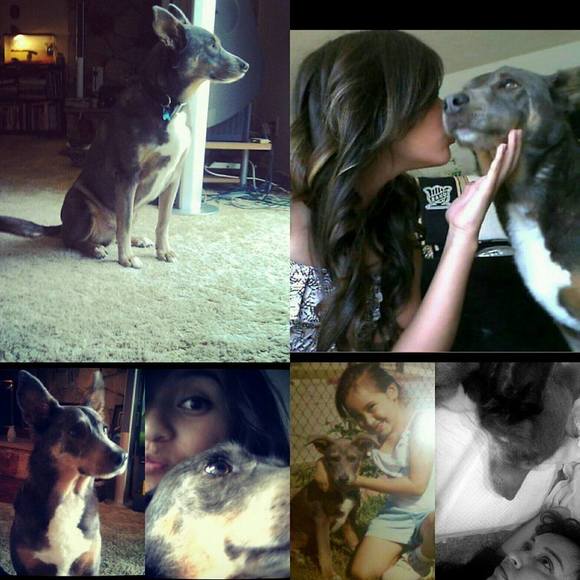 Meet your Posher, Pilar