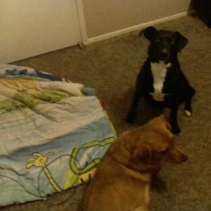 Meet your Posher, Mark