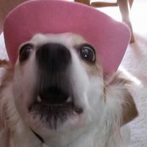 Meet your Posher, Christa