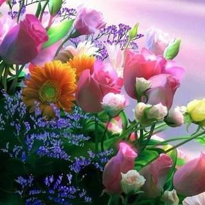 Meet your Posher, Stacey