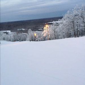 Meet your Posher, Tami