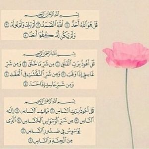 Meet your Posher, Mirna