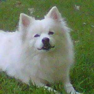 Meet your Posher, Barbara