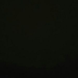 Meet your Posher, Shane