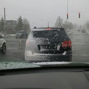 Meet your Posher, Tracey