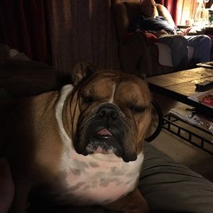 Meet your Posher, Lisa