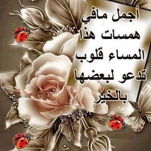 Meet your Posher, Mariama