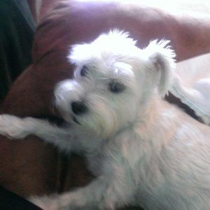 Meet your Posher, Kara