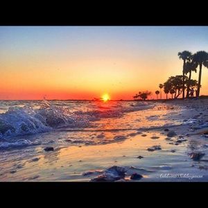 Meet your Posher, Terri