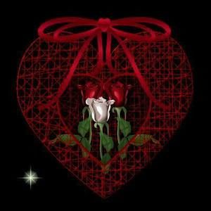 Meet your Posher, Isabel