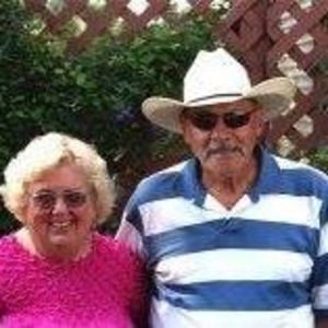 Meet your Posher, Sandy