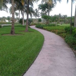 Meet your Posher, Tamara