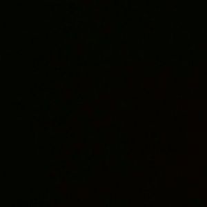 Meet your Posher, Selena