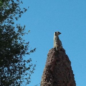 Meet your Posher, Doris