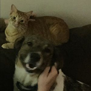 Meet your Posher, Rachael