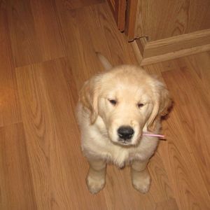 Meet your Posher, Olivia