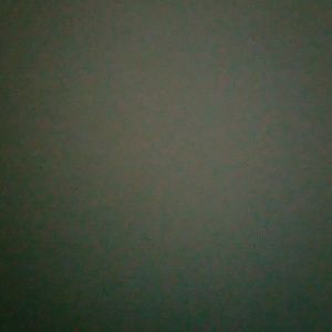 Meet your Posher, Cylenthia