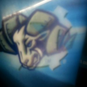 Meet your Posher, Wanda