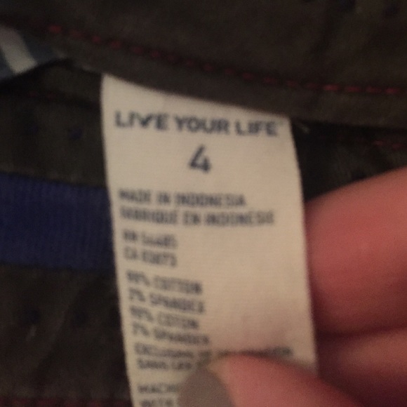 American Eagle Shorts - Picture 4 of 4