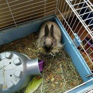 Meet your Posher, Shala