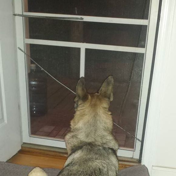 Meet your Posher, Kimberley - Picture 1 of 1