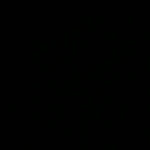 Meet your Posher, Doris