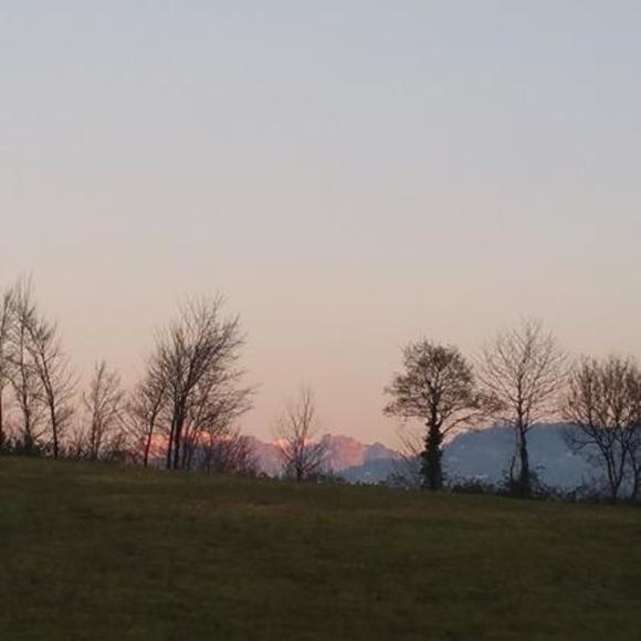 Meet your Posher, Natalie - Picture 4 of 4