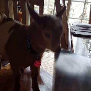 Meet your Posher, Michelle